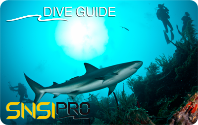 DIVE GUIDE DIVE GUIDE